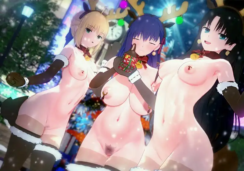 名称：衛宮家的聖誕