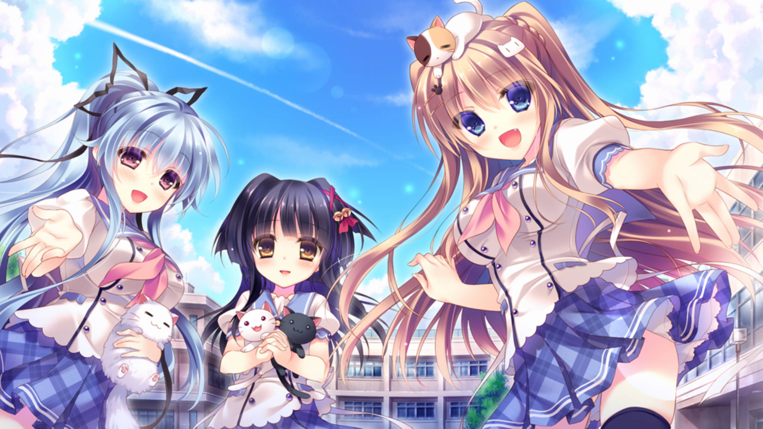 猫咖啡拉花 (7).jpg 猫咖啡拉花 (7).jpg