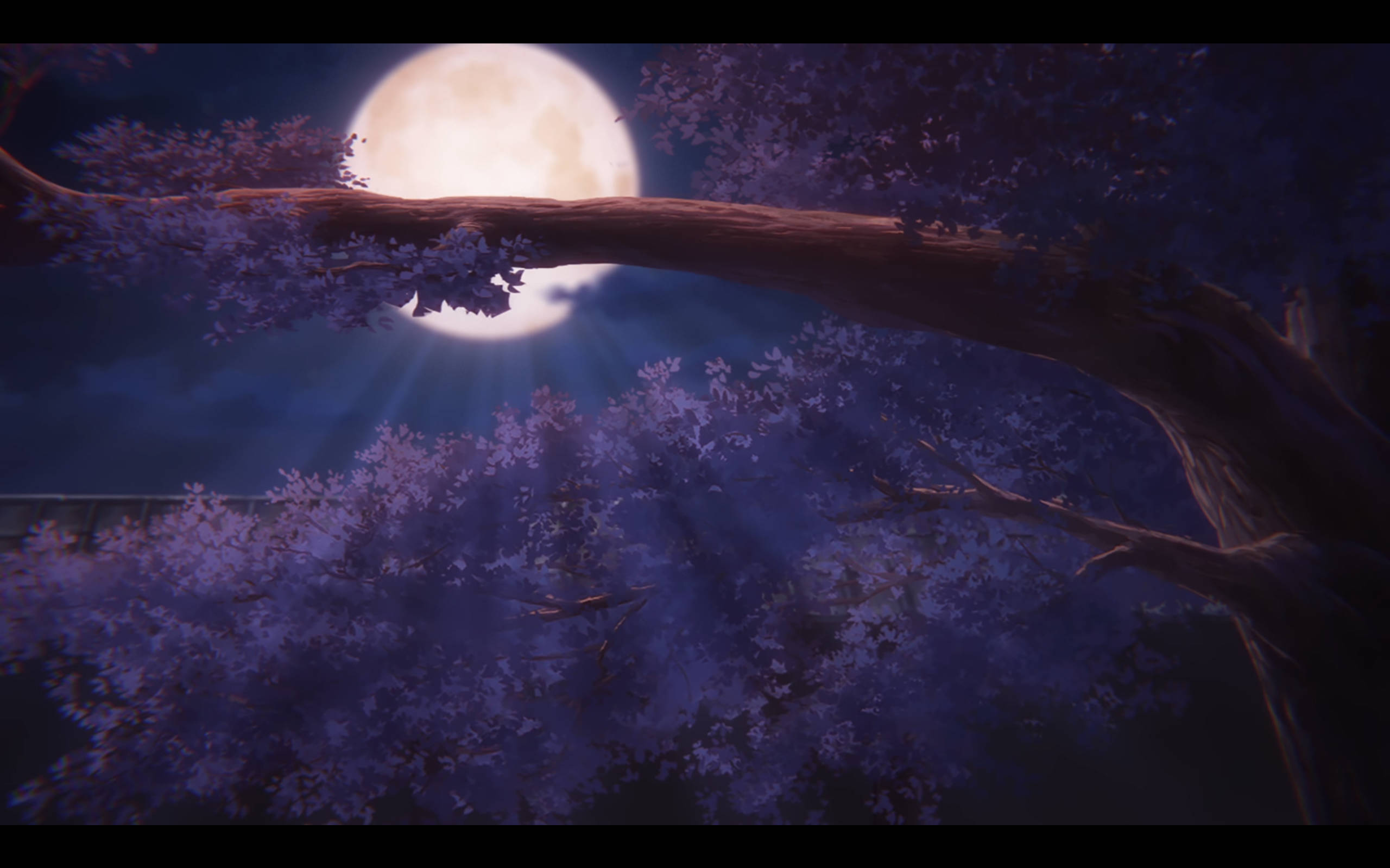 半妖忍少女 (2).jpg 半妖忍少女 (2).jpg