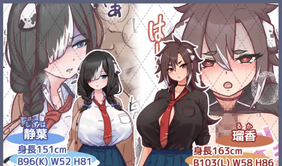 母犬训练 (5).jpg