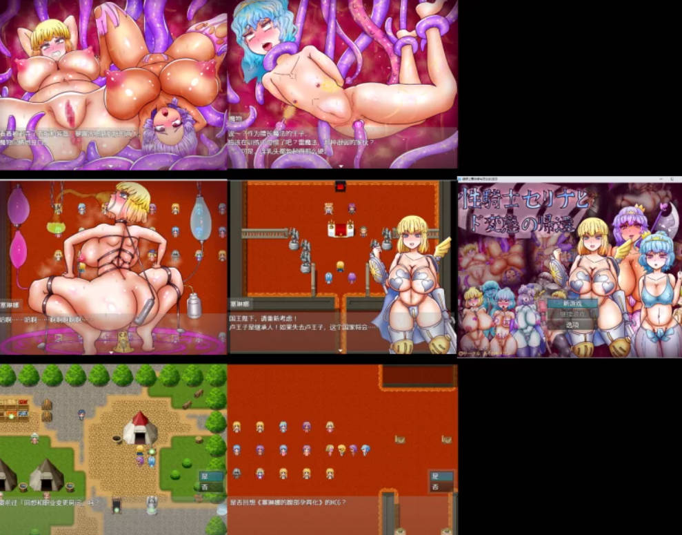 性骑士瑟琳娜与变态的归来 (4).jpg